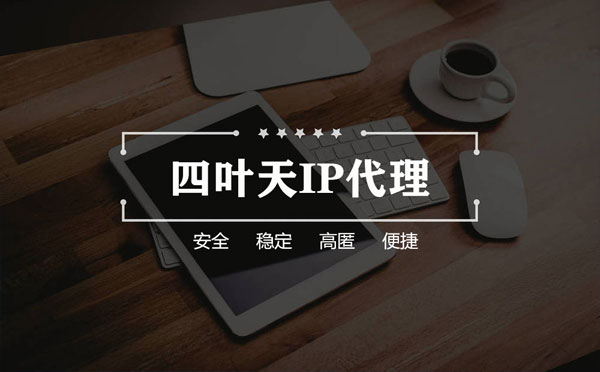 【昆明代理IP】如何快速搭建代理IP？怎么检查代理的效果？